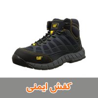 کفش ایمنی